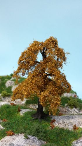 late autumn oak cm 14 (x1)