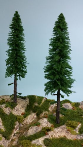 silver fir with trunk cm 30 (x2)