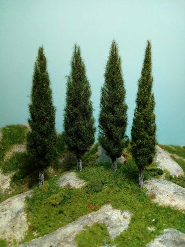 cypress da cm 12,00 X 4