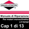 Manuale di Riparazione Briggs&Stratton Monocilindrici 1Gen