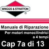 Manuale di Riparazione Briggs&Stratton Monocilindrici 7aAvvA