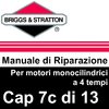 Manuale di Riparazione Briggs&Stratton Monocilindrici 7cAlt