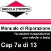 Manuale di Riparazione Briggs&Stratton Monocilindrici OHV 7aAvA