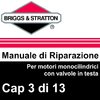 Manuale di Riparazione Briggs&Stratton Monocilindrici OHV 3Carb