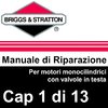 Manuale di Riparazione Briggs&Stratton Monocilindrici OHV 1Gen