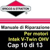 Manuale di Riparazione Briggs&Stratton Intek V 10 Cart