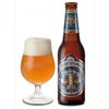 Birra India Pale Ale Theresianer