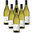 Pecorino Terre di Chieti IGP Colle Cavalieri 6 bottles 75 cl.