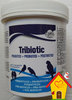 Tribiotic gr 250