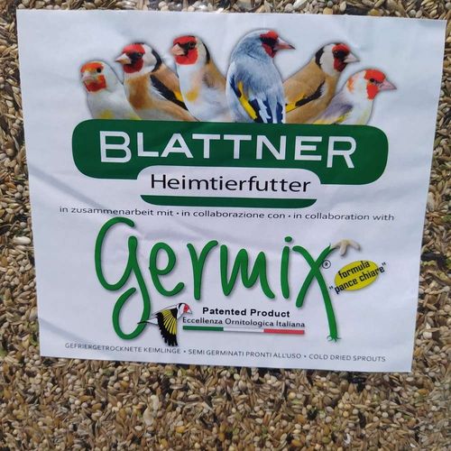 Blattner germix pance chiare cardellini kg 5