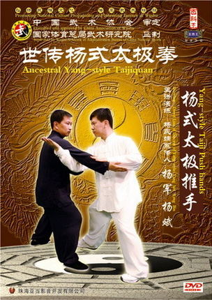 Combattimento del TaiJi Stile Yang(Yang jun)