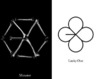 EXO - ALBUM VOL.3 - EX’ACT (CHINESE VER.)(Lucky one Ver.)