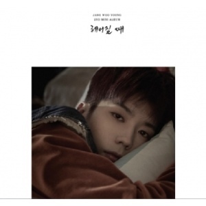 Jang Woo Young(2PM) Mini Album Vol.2 - break up