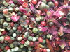 Mix di pepe e rose vasetto g.20