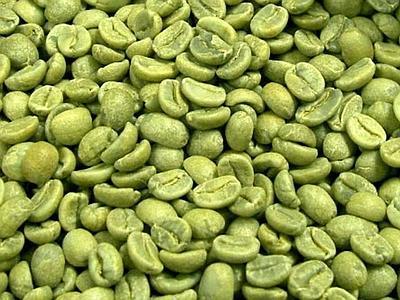 Caffè verde bustina g.70