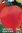 Four Blumen Semi Di Melone Invernale Meraviglia di Trapani F.1