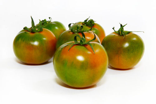 Pomodori Insalataro