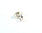 Anello in Labradorite ovale e Argento 925